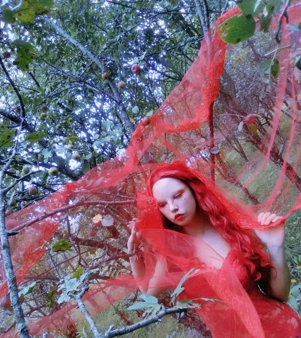 The Blood Red Veil - Image 10
