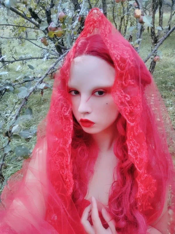 The Blood Red Veil - Image 10