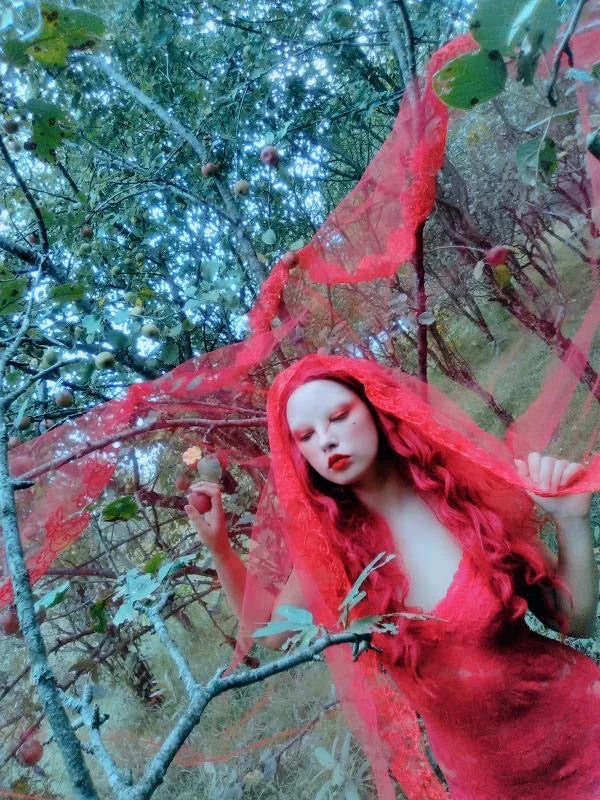 The Blood Red Veil - Image 8