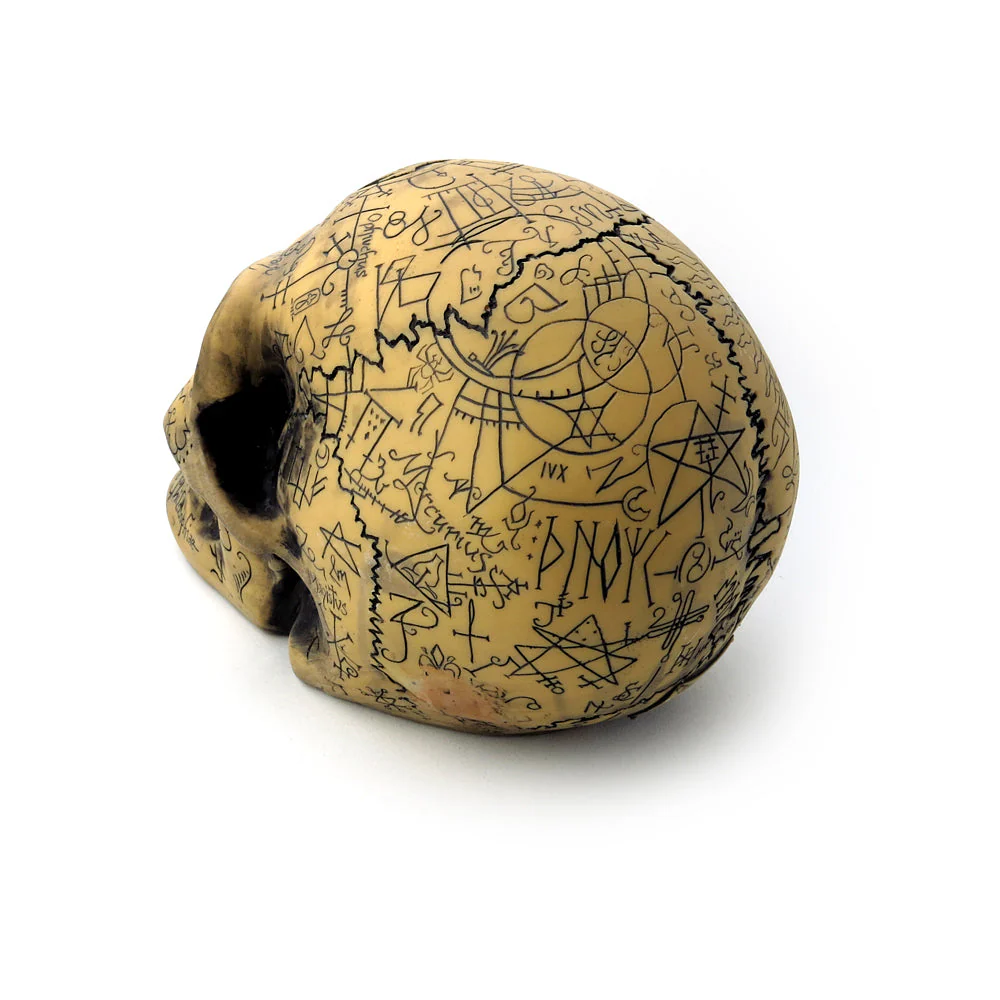 Omega Skull - Image 3