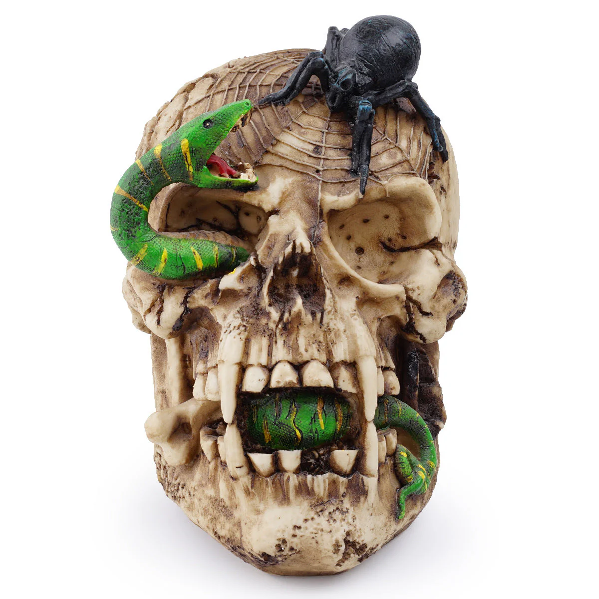 Skull of Horrors - Image 3