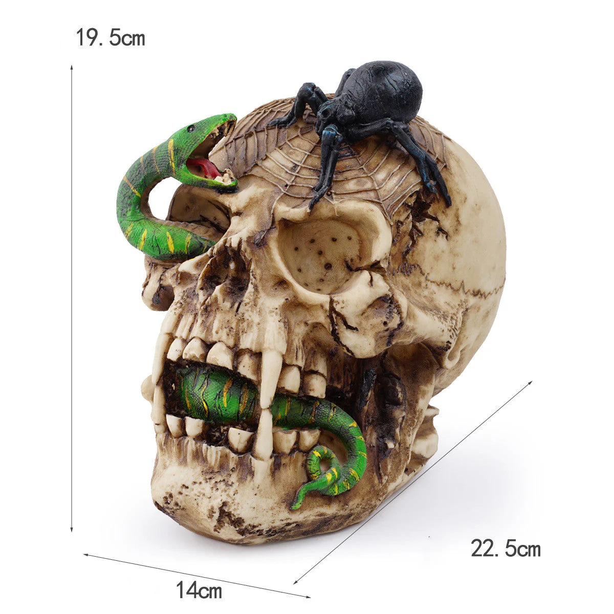 Skull of Horrors - Image 4