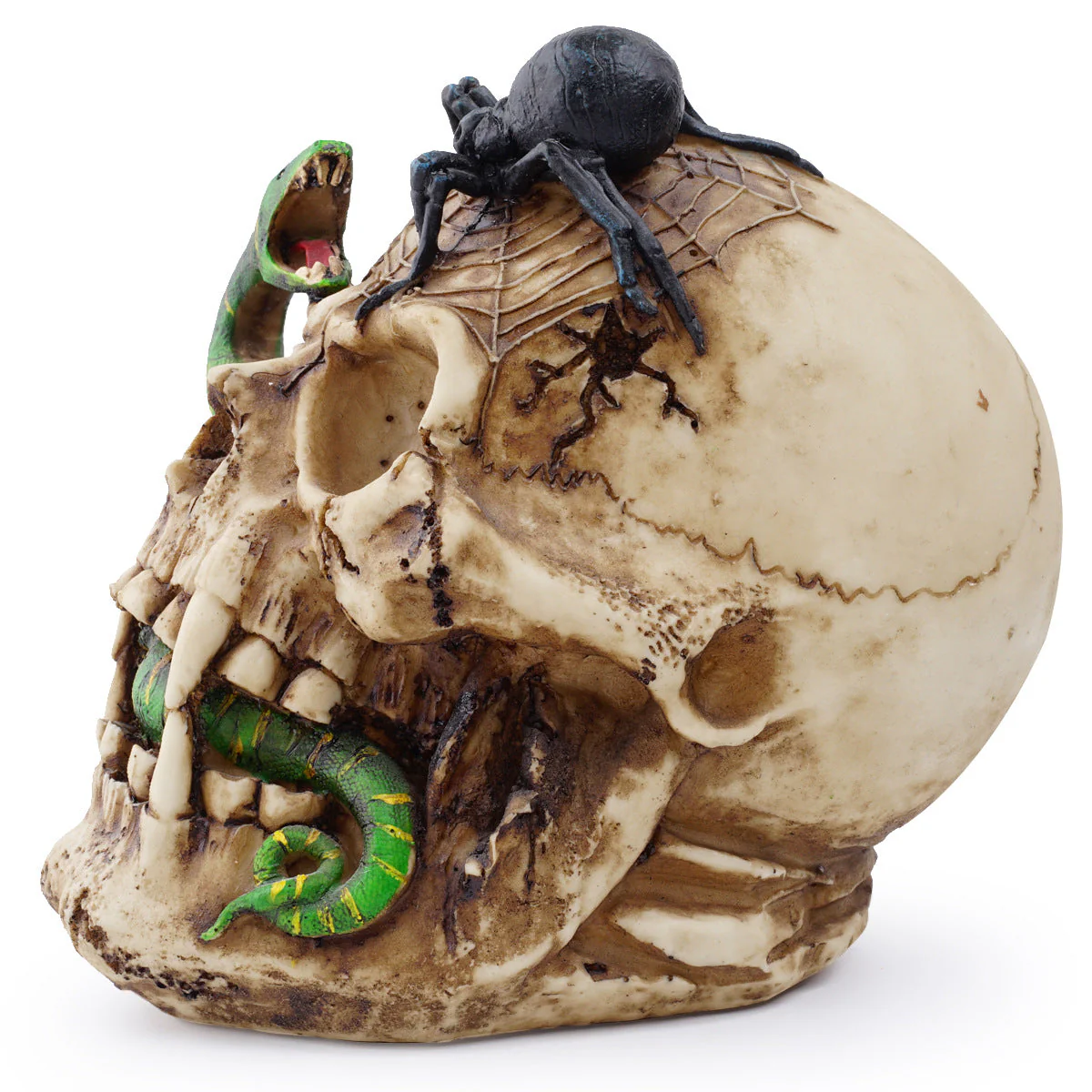 Skull of Horrors - Image 5