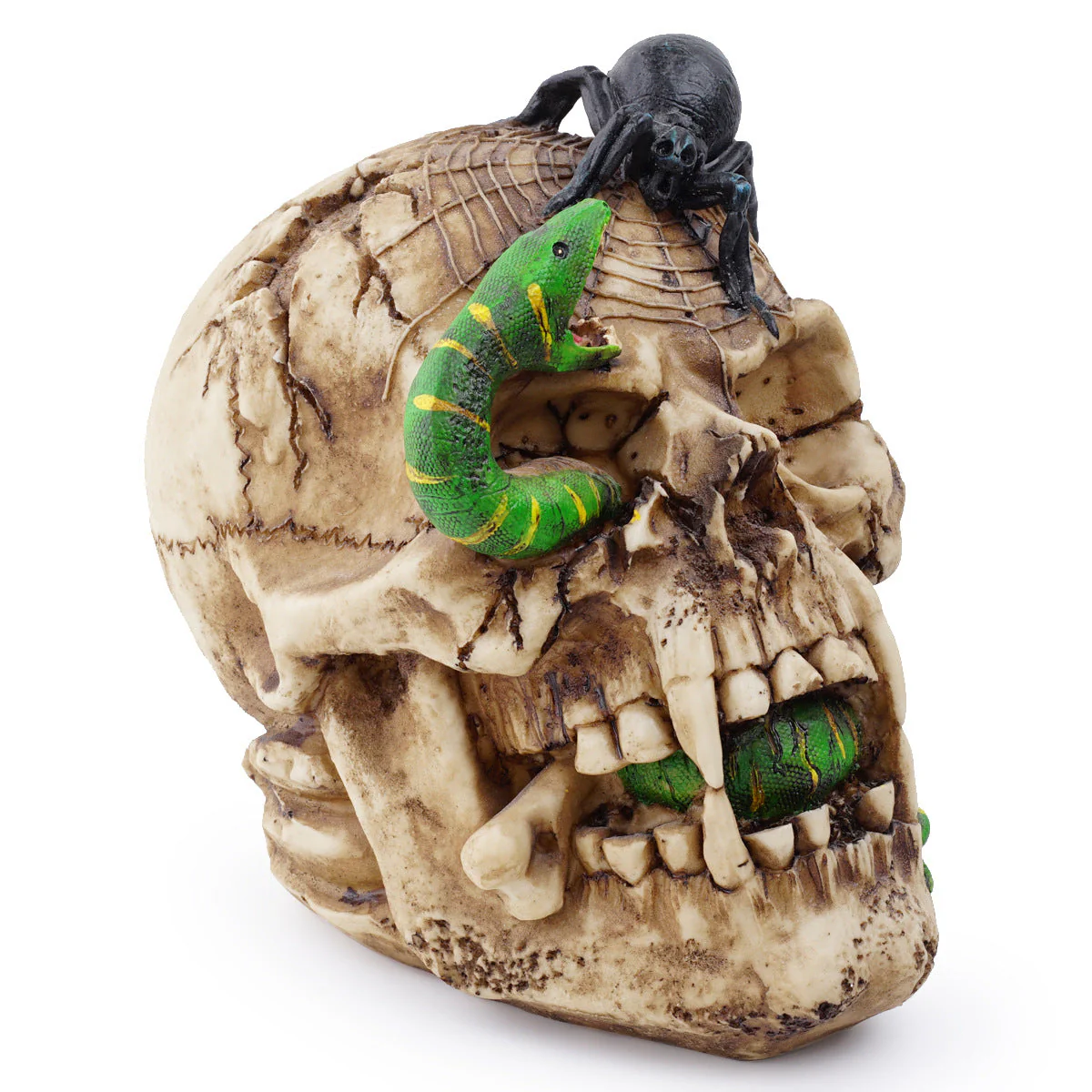Skull of Horrors - Image 6