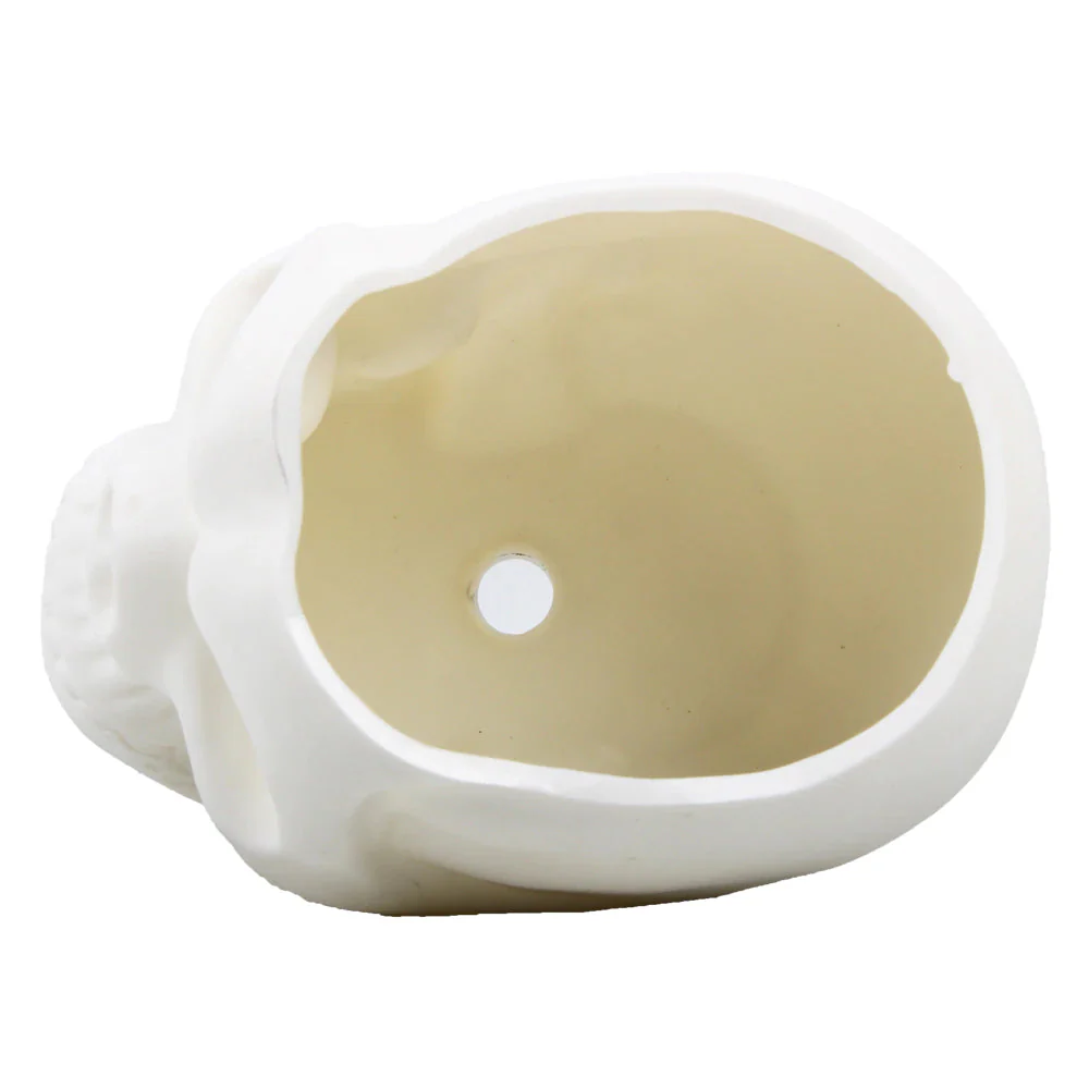 Matte Skull Storage Jar - Image 19
