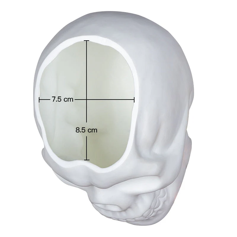 Matte Skull Storage Jar - Image 22