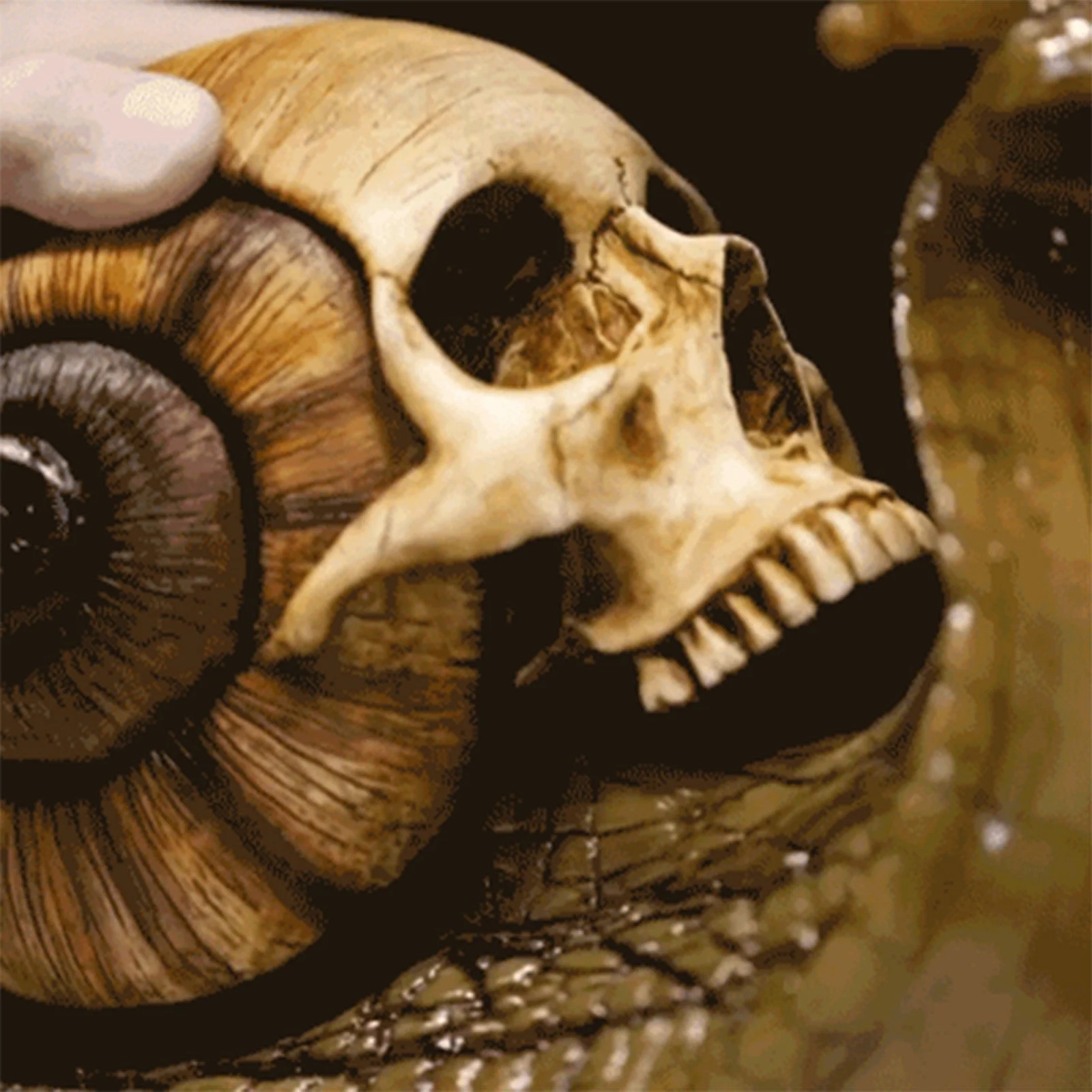 Snail & Skull Ornament - Image 6